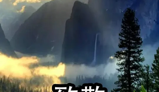 单元式赛马少女